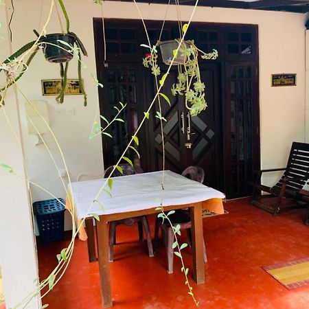 אלה Little Cottage מראה חיצוני תמונה