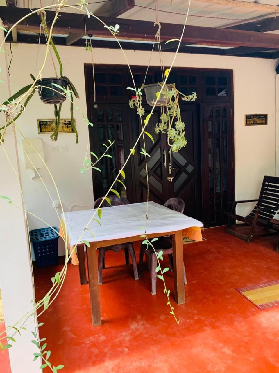 אלה Little Cottage מראה חיצוני תמונה