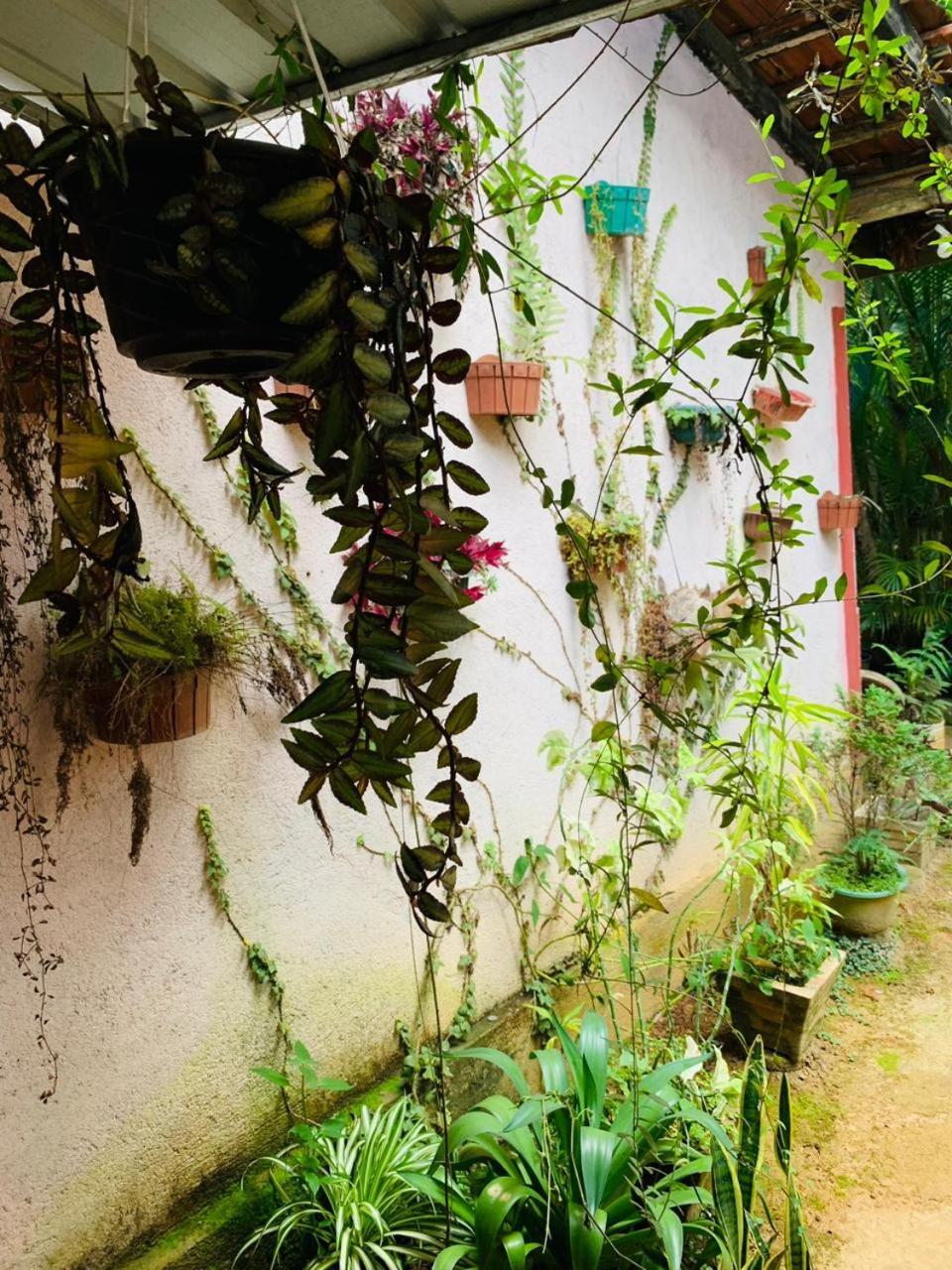 אלה Little Cottage מראה חיצוני תמונה