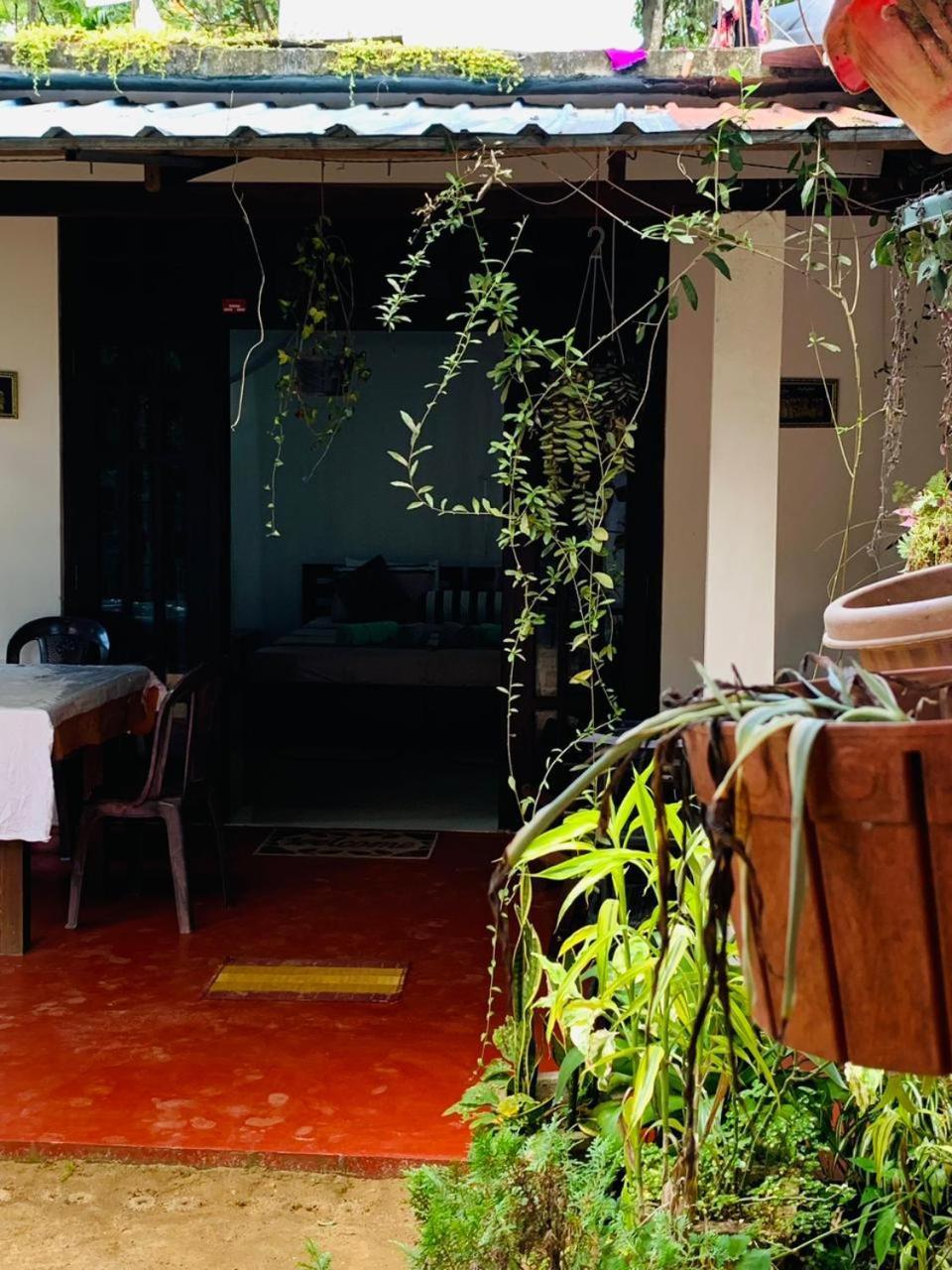 אלה Little Cottage מראה חיצוני תמונה