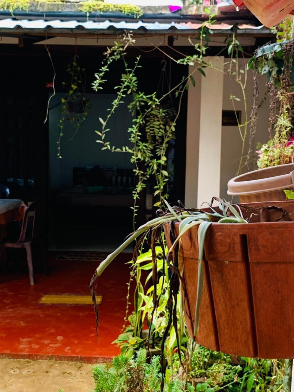 אלה Little Cottage מראה חיצוני תמונה