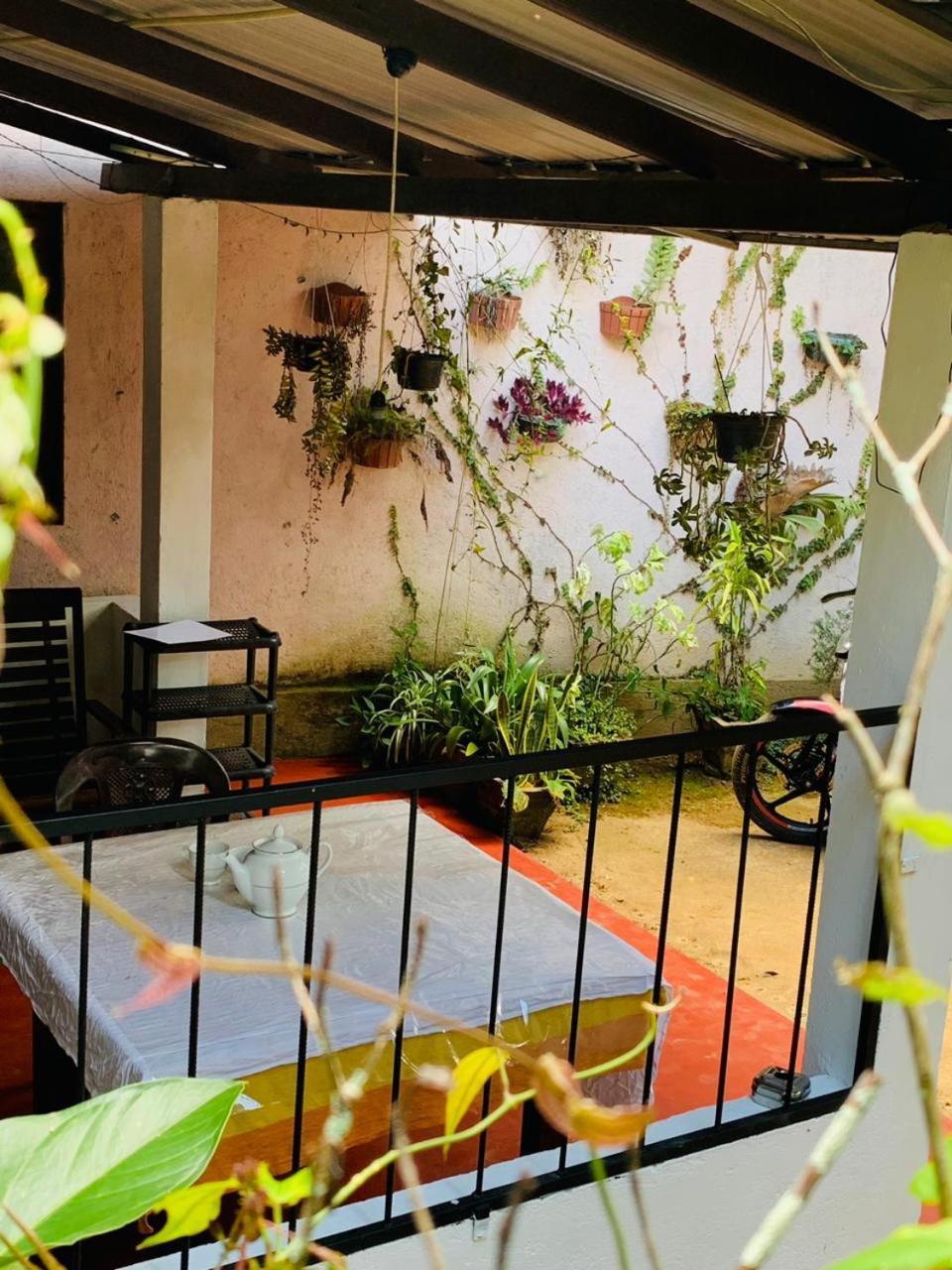אלה Little Cottage מראה חיצוני תמונה