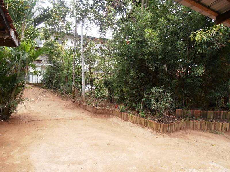 אלה Little Cottage מראה חיצוני תמונה